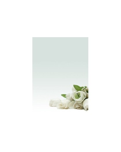 CARTA CON STAMPA "ROSA BIANCA'" A4 90GR 20FG DECADRY