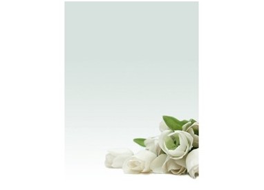 CARTA CON STAMPA "ROSA BIANCA'" A4 90GR 20FG DECADRY