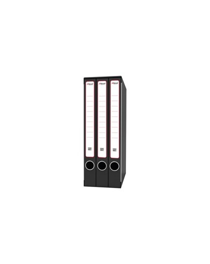 Gruppo raccoglitori Terzetto c/cartelle 25,5x34,5cm dorso 15cm Rexel