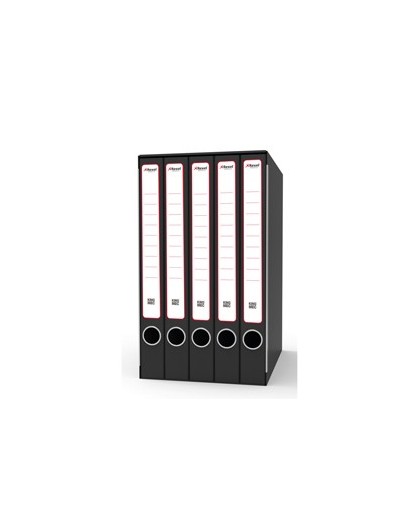 Gruppo raccoglitori Qunitetto c/cartelle 25x35cm dorso 23,5cm Rexel