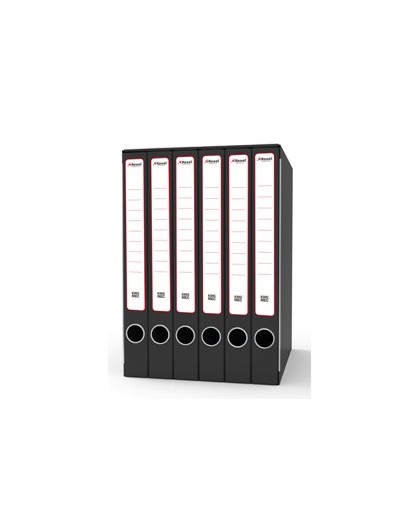 Gruppo raccoglitori Sestetto c/cartelle 25,5x34,5cm dorso 23cm Rexel