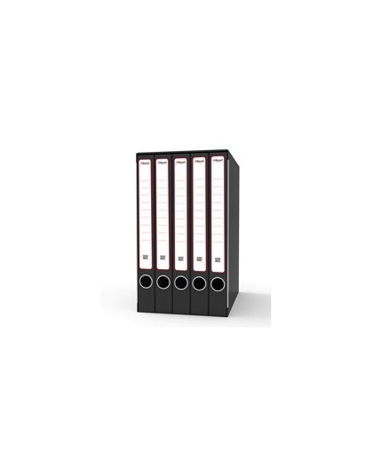 Gruppo raccoglitori Qunitetto c/anelli 23x32cm dorso 23cm Rexel