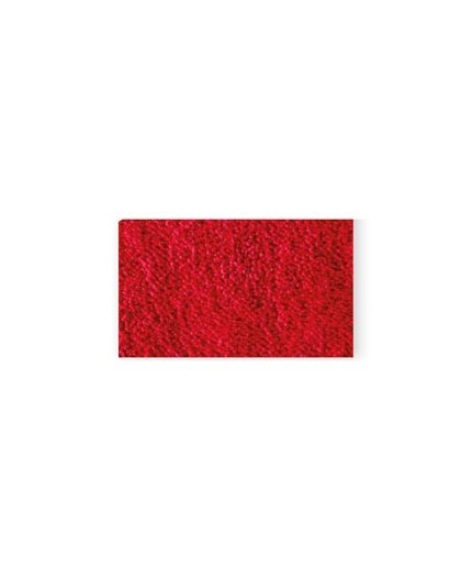 TAPPETO da PASSERELLA 90x200cm ROSSO ANTISCIVOLO Securit