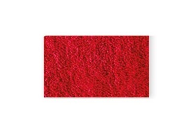 TAPPETO da PASSERELLA 90x200cm ROSSO ANTISCIVOLO Securit