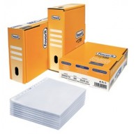 SCATOLA 500 BUSTE FORATE 22X30 LINEAR BUCCIA PPL FAVORIT