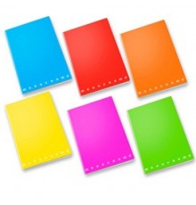 Maxiquaderno A4 80gr 40+2fg 1rigo c/margine Fluo Monocromo Pigna
