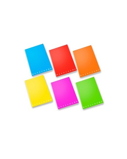 Maxiquaderno A4 80gr 40+2fg 1rigo c/margine Fluo Monocromo Pigna