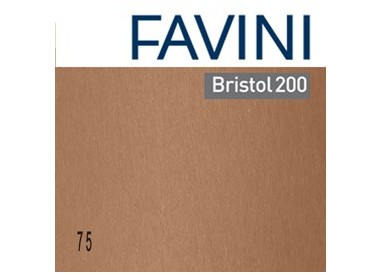 Conf.10 cartoncino Bristol Color 200gr 100x70cm marrone 75 Favini