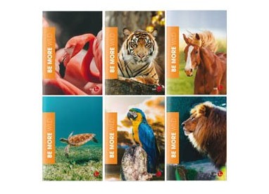 Maxiquaderno A4 36fg+2 100gr rigo di 1a WILD Be More Special 2022 BM