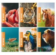 Maxiquaderno A4 36fg+2 100gr 4mm WILD Be More Special 2022 BM