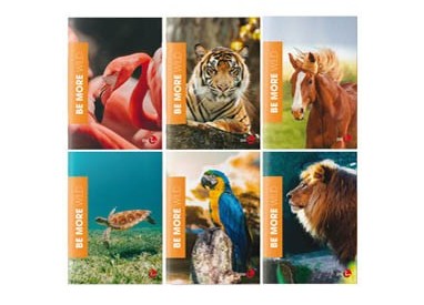Maxiquaderno A4 36fg+2 100gr 1rigo WILD Be More Special 2022 BM