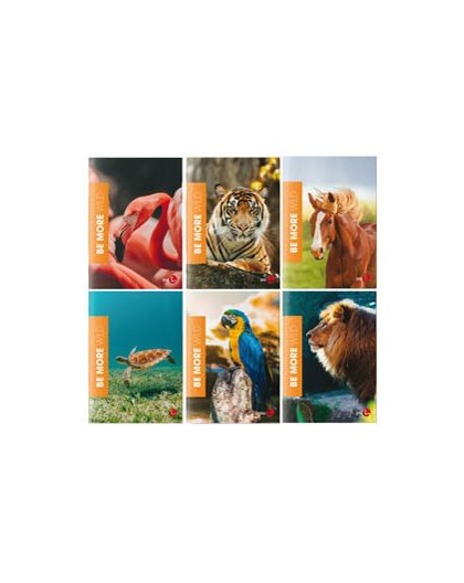 Maxiquaderno A4 36fg+2 100gr 5mm c/margine WILD Be More Special 2022 BM
