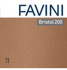 Conf.25 cartoncino Bristol Color 200gr 50x70cm marrone 75 Favini
