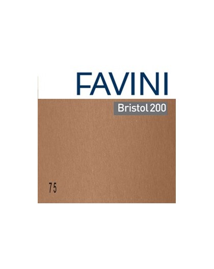 Conf.25 cartoncino Bristol Color 200gr 50x70cm marrone 75 Favini
