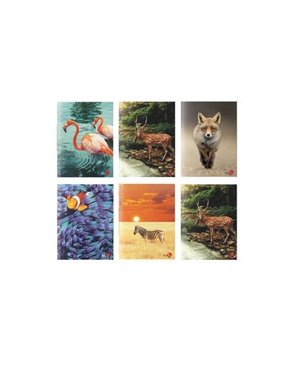 Maxiquaderno A4 40fg+2 80gr 1rigo Animal 2022 BM