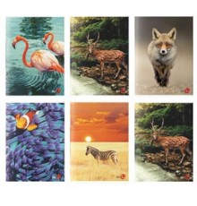 Maxiquaderno A4 40fg+2 80gr 5mm c/margine Animal 2022 BM