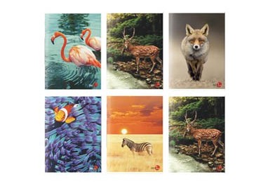 Maxiquaderno A4 40fg+2 80gr 4mm c/margine Animal 2022 BM