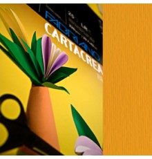 Blister 10fg cartoncino 35x50cm 220gr aragosta Cartacrea Fabriano
