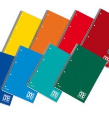 Blocco spiralato A4 4x4 1rigo 80gr One Color Blasetti