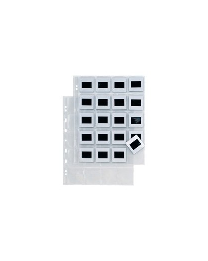 10 buste forate A4 ATLA F DIA 20 con 20 spazi (5,5x5,5 cm) SEI ROTA