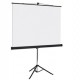 Schermo per proiezione con treppiede 150x150cm Bi-Office