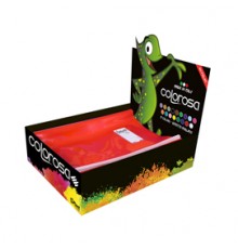 Display 60 Coprimaxi colori ass. Colorosa RiPlast