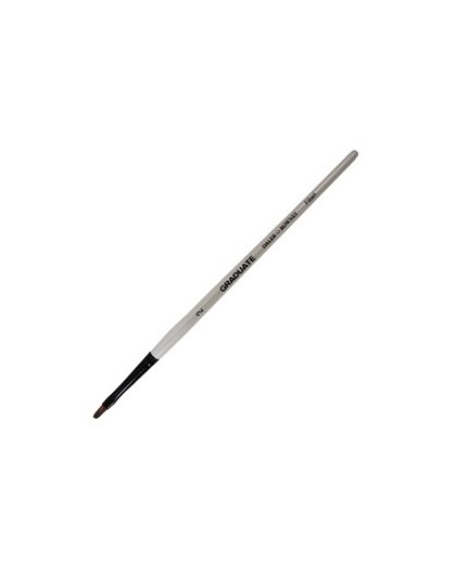 Pennello sintetico lingua gatto Graduate n.2 manico lungo Daler Rowney