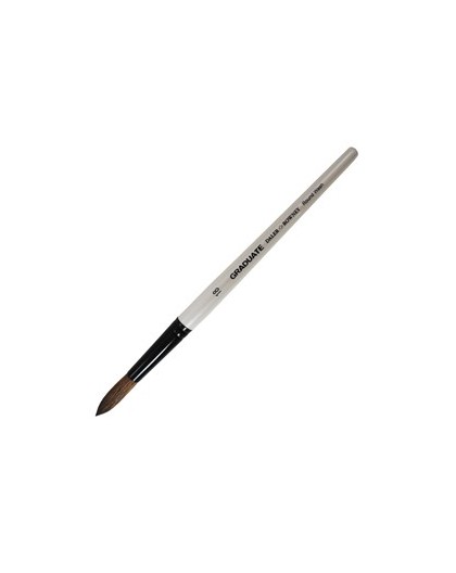 Pennello pelo pony tondo Graduate n.18 manico corto Daler Rowney