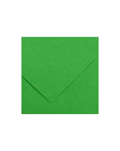 Foglio COLORLINE 70x100 cm 220 gr. 29 Verde brillante
