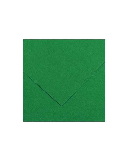 Foglio COLORLINE 70x100 cm 220 gr. 30 Verde vivo