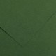 Foglio COLORLINE 70x100 cm 220 gr. 31 Verde abete
