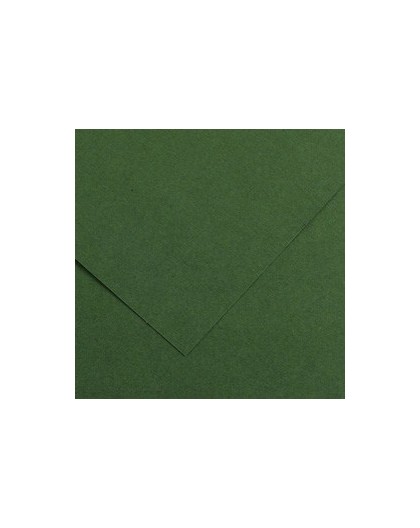 Foglio COLORLINE 70x100 cm 220 gr. 31 Verde abete