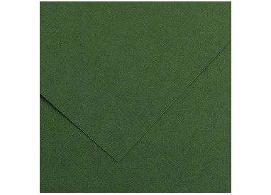 Foglio COLORLINE 70x100 cm 220 gr. 31 Verde abete