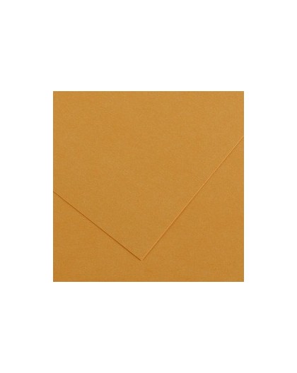 Foglio COLORLINE 70x100 cm 220 gr. 32 Cuoio