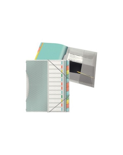 Libro monitore con 12 divisori multicolore Colour'Ice Esselte