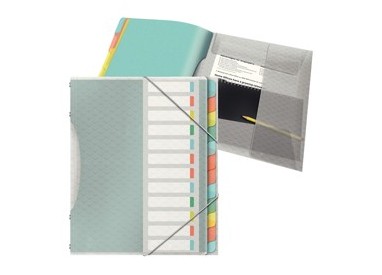Libro monitore con 12 divisori multicolore Colour'Ice Esselte