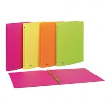 Raccoglitore PPL 22x30mm 4R dorso 15 colori assortiti neon Favorit