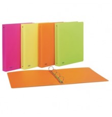 Raccoglitore PPL 22x30mm 4R dorso 30 colori assortiti neon Favorit