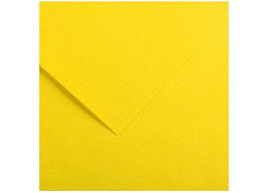 Foglio COLORLINE 70x100 cm 220 gr. 04 Giallo canarino