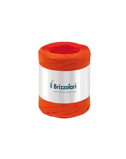 Rafia sintetica 6802 5mmx200mt colore arancione 12 Brizzolari
