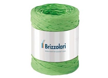 Rafia sintetica 6802 5mmx200mt colore verde chiaro 10 Brizzolari