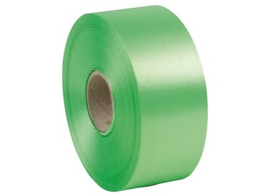 Nastro liscio 6800 50mmx100mt colore verde chiaro 10 Brizzolari