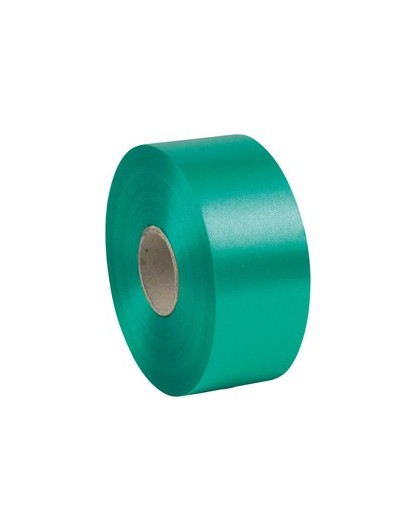Nastro liscio 6800 50mmx100mt colore verde bandiera 09 Brizzolari