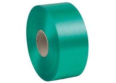 Nastro liscio 6800 50mmx100mt colore verde bandiera 09 Brizzolari