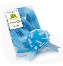 30 nastri strip 6800 31mm-Ø13cm colore azzurro 06 Brizzolari