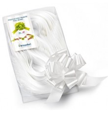 30 nastri strip 6800 31mm-Ø13cm colore bianco 01 Brizzolari