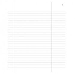 Registro verbali collegio cindacale 96pag num.uso bollo 31x24,5cm DU135700000 DU