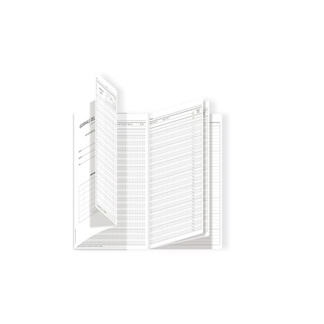 Registro del Professore (3 classi) 31x17cm DU3425PS000 Data Ufficio
