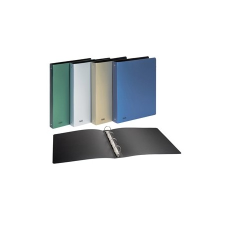 Raccoglitore PPL METAL colori ass. 22x30mm 4R dorso 30 Favorit
