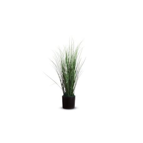 Pianta ornamentale ERBA H55cm